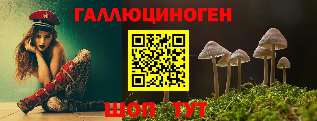 магазин  наркотиков  Галлюциногенные грибы мицелий  Вход с VPN  Южноуральск  Галлюциногенные грибы MAGIC MUSHROOMS 